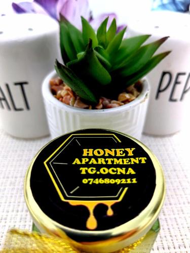 Tirgu Ocna Apartment | Honey apartment