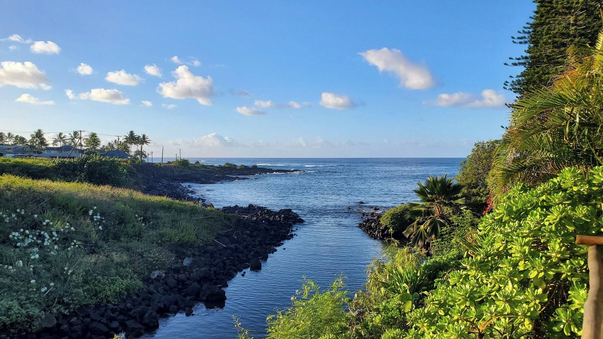 Poipu Cottage | Honeymoon-View Sea Turtles From Your Deck-AC-Outdoor Shower-Free Access to Gym
