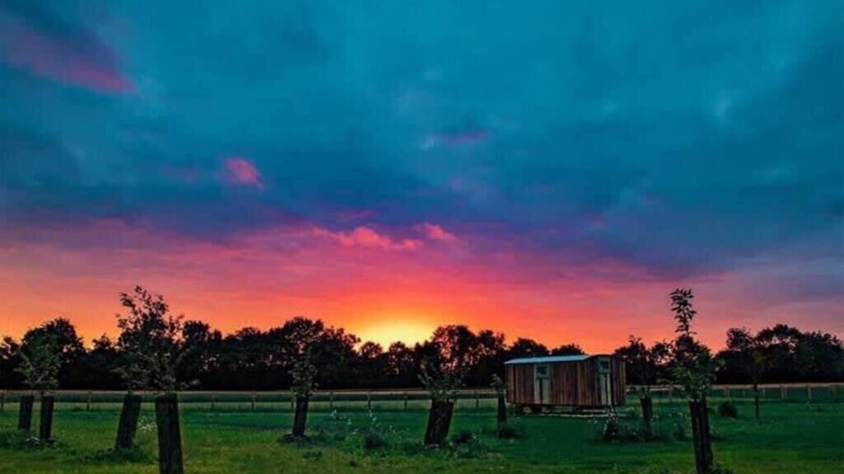 Bedfield Cabin | Honeysuckle Farm Hut 7 - Suffolk Farm Holidays
