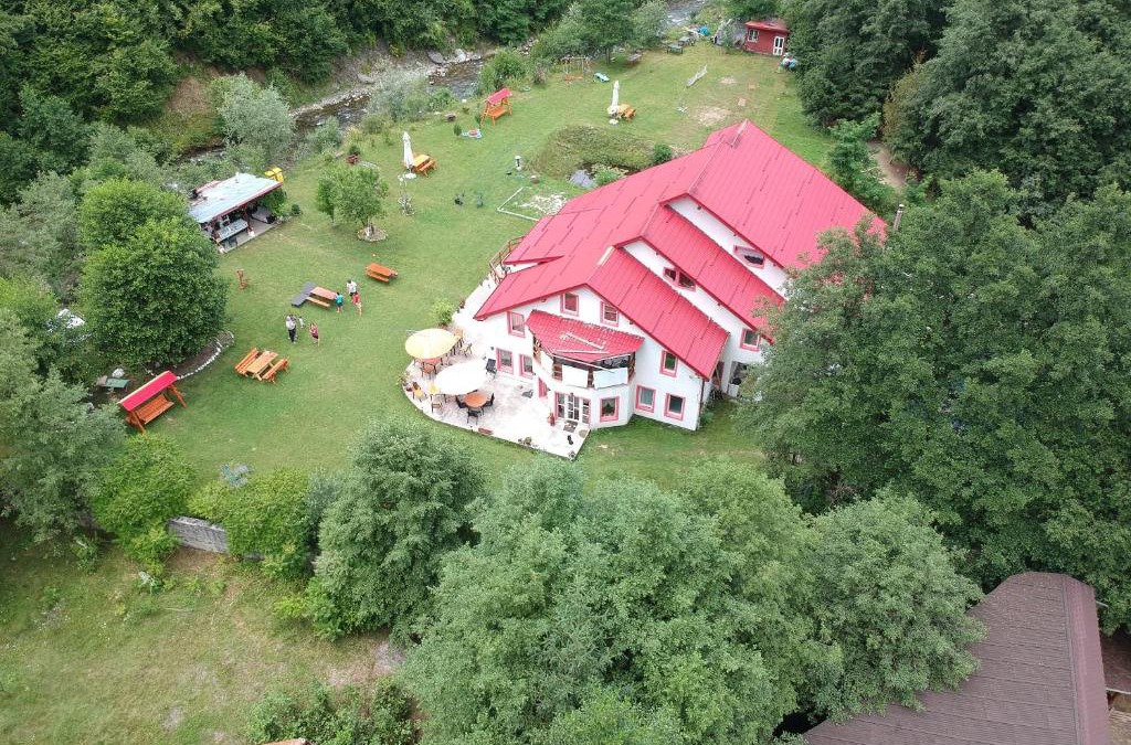 Avrig House | Horia