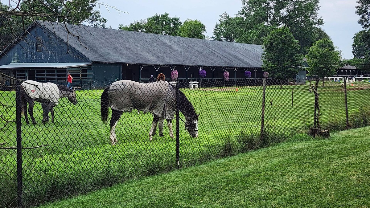 Saratoga Springs Other | Horse Haven Track Rental for Belmont