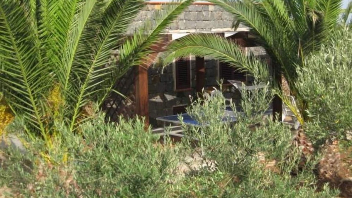 Ustica House | Hose of the palm trees, 5000 sq.m of garden, and there is a vegetable garden ava