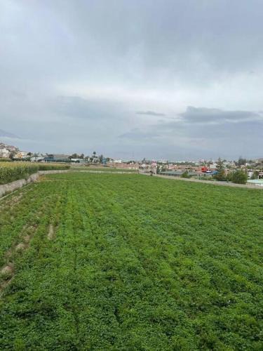 Sachaca Apartment | Hospedaje Sachaca, Arequipa