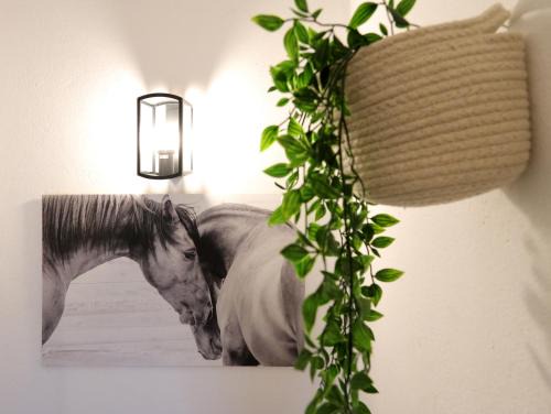 Sao Miguel do Rio Torto House | Hospedaria Portuguesa