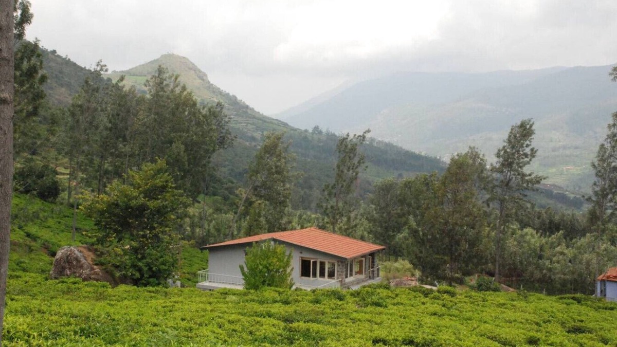 Wellington Ski Chalet | Hospitality Expert TVE: BBQ, Bonfire & Chef