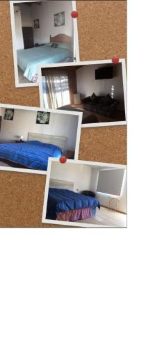 Copiapo House | Hostal Andreas