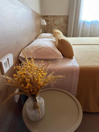 Pals House | Hostal Barris