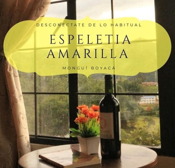 Mongui House | Hostal Espeletia Amarilla