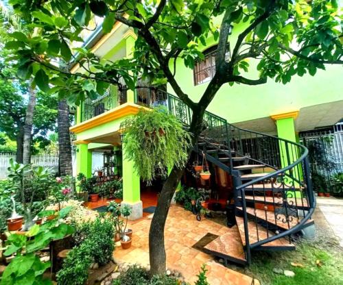 Leon Bed & Breakfast | Hostal San Antonio