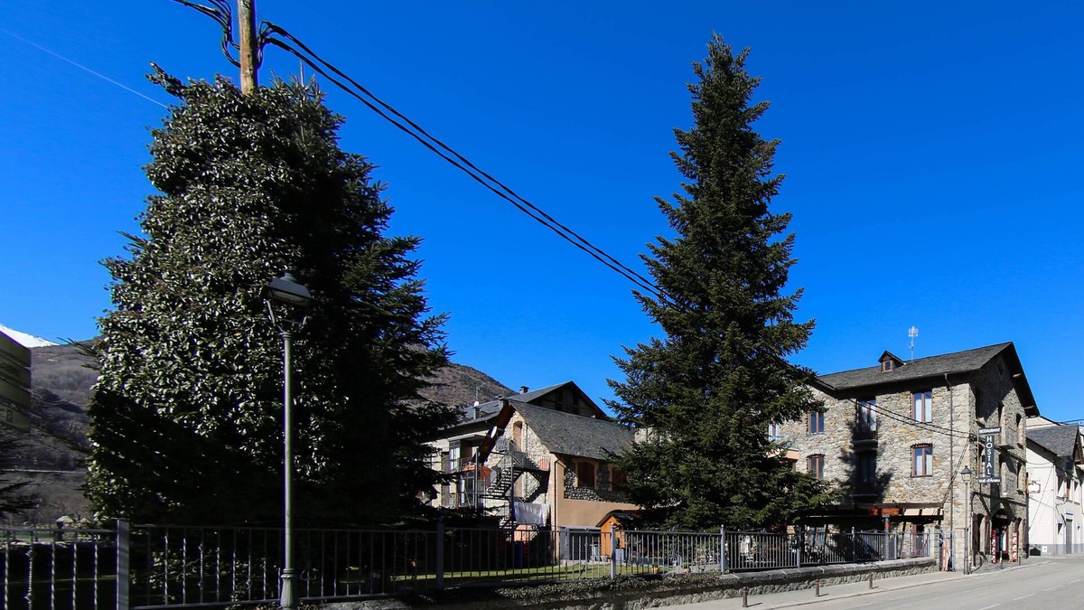 Esterri D'Aneu House | Hostal Vall d'Aneu