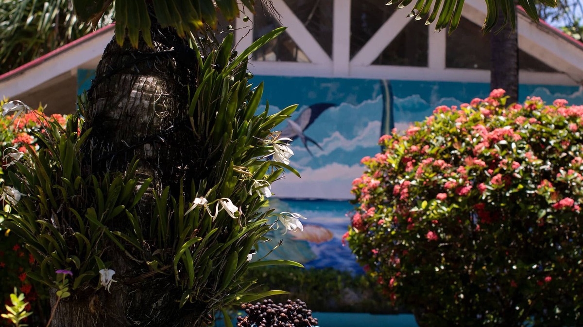 Punta Sur Hotel | Hosteria Mar y Sol