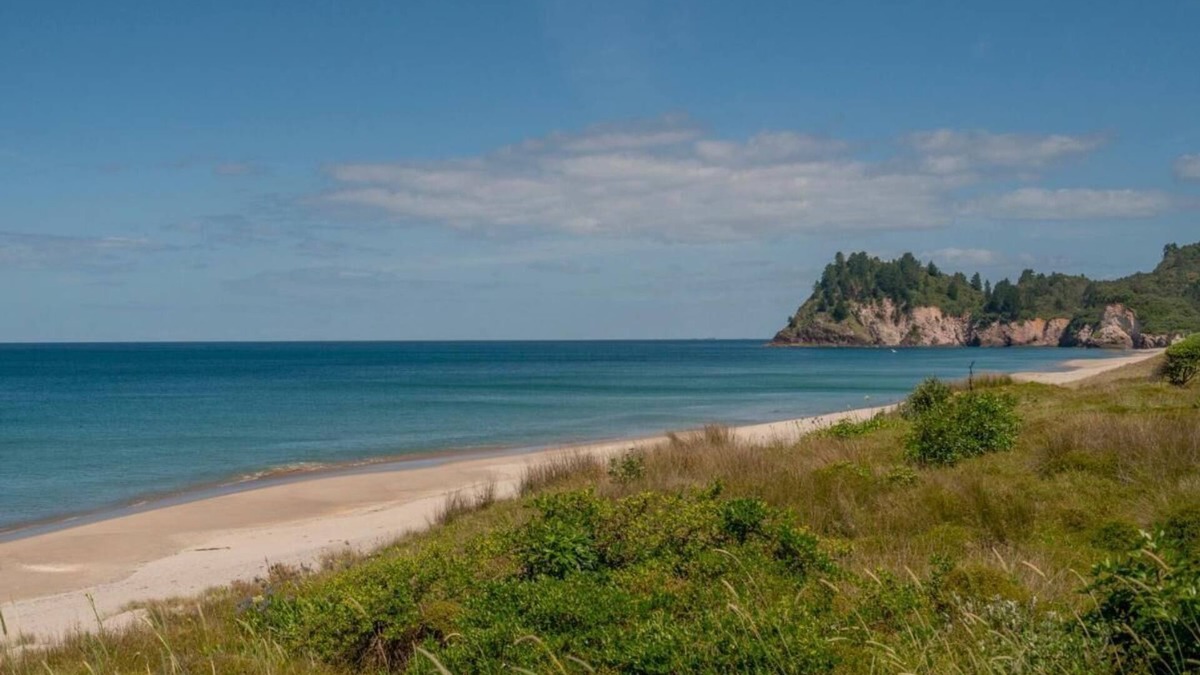 Whiritoa House | Hosts on the Coast Family Fun in Whiritoa