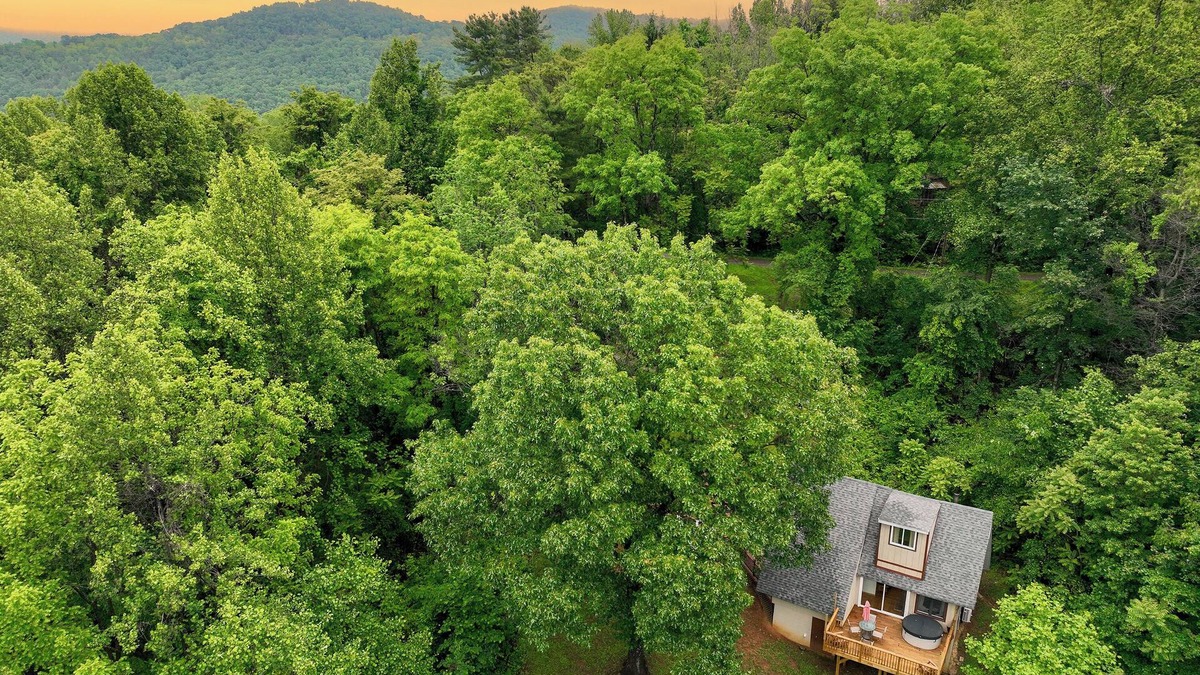 Elkton House | Hot tub, Firepit, Forest Views!
