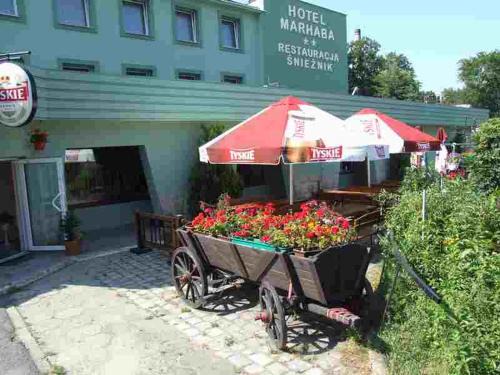 Klodzko Miasto Hotel | Hotel Śnieżnik