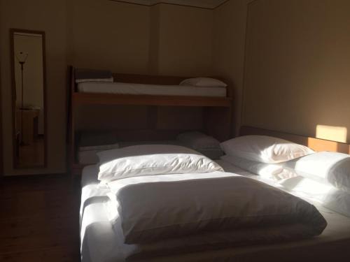 Temu Hotel | Hotel Adamello