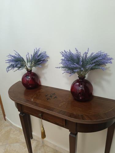 Catanzaro Hotel | Hotel Alexia