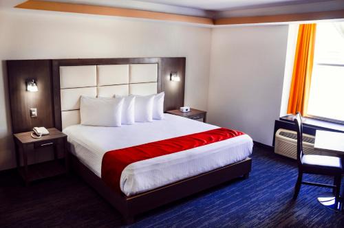 Torreon Hotel | Hotel ALO! Express