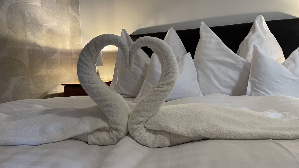 Sarvar Hotel | Hotel Aqua Sárvár