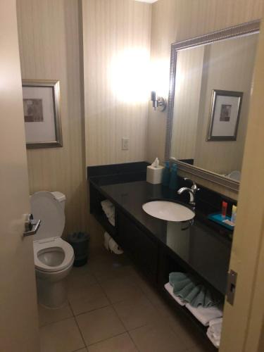 Northeast Hotel | Hotel Arboretum
