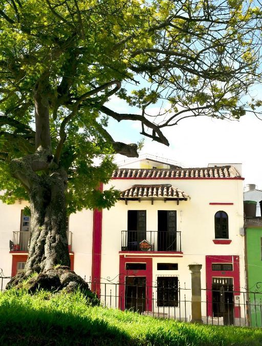 Tunja Hotel | Hotel Aroma del Bosque Posada Cafe