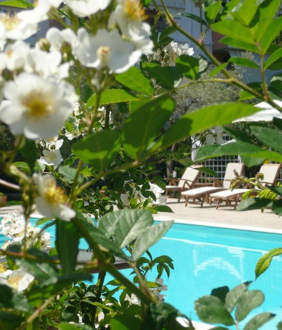 Lygia Apartment | Hotel Avra