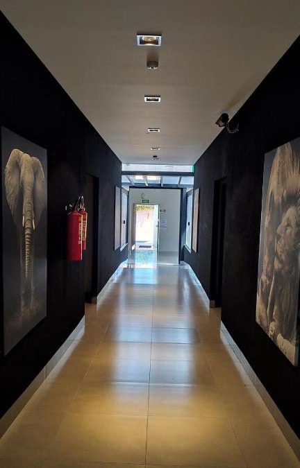 Primavera do Leste Hotel | Hotel Barril