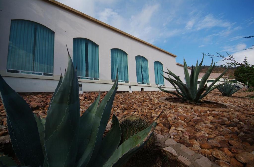 Zacatecas Centro Hotel | Hotel Baruk Teleférico Centro Histórico