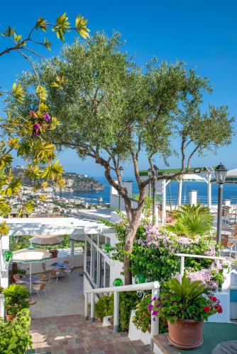 Casamicciola Terme Hotel | Hotel Bel Tramonto