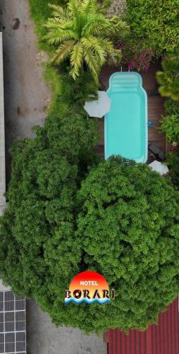 Alter do Chao Hotel | Hotel Borari