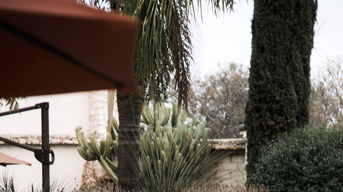 Pozos Hotel | Hotel Boutique Casa Diamante Mineral de Pozos