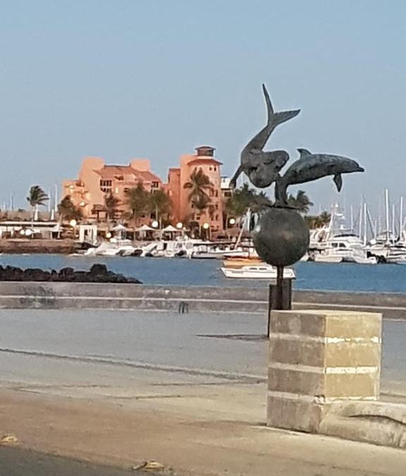 La Paz Hotel | Hotel Calafia