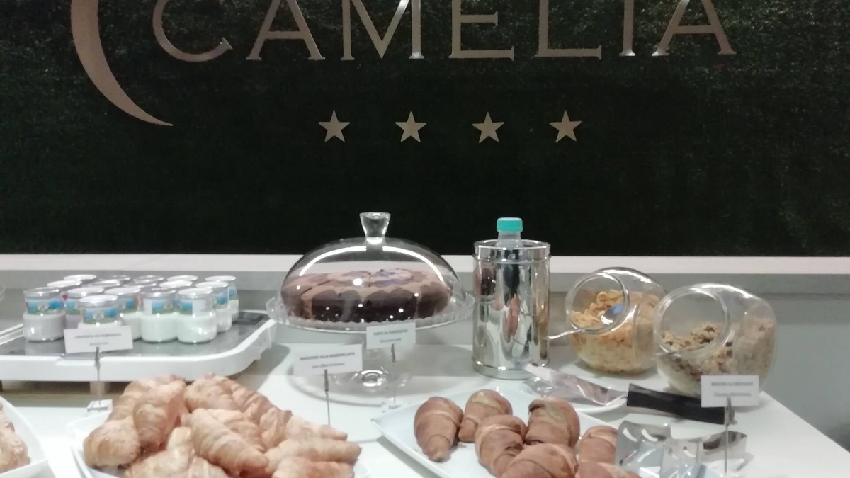 Cameri Hotel | Hotel Camelia