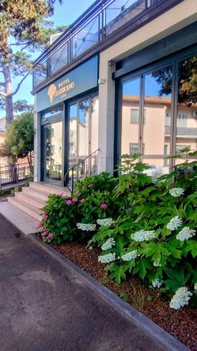 Casa Ottani Hotel | Hotel Classicano