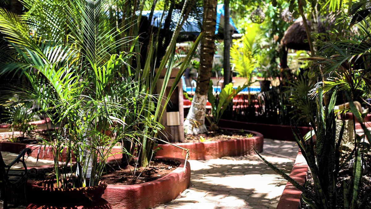 Villa Juarez Cabin | HOTEL COCOS CABAÑAS - QUEEN BOUTIQUE AMARILLA
