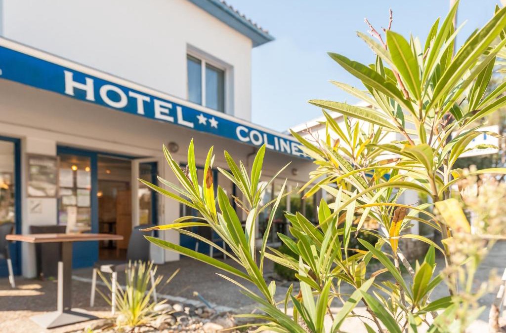 Saint-Georges-de-Didonne Hotel | Hotel Colinette