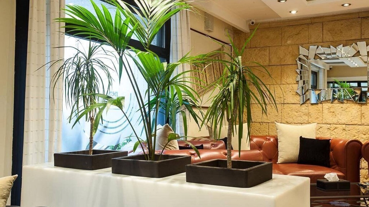 Oran Hotel | HOTEL COLOMBE
