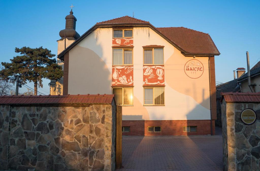 Storozhnytsya Hotel | Hotel Complex Bahus