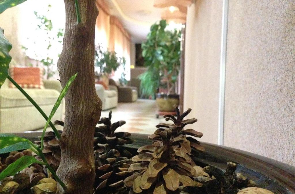 Leninskiy rayon Hotel | Hotel Dama s Sobach'koy