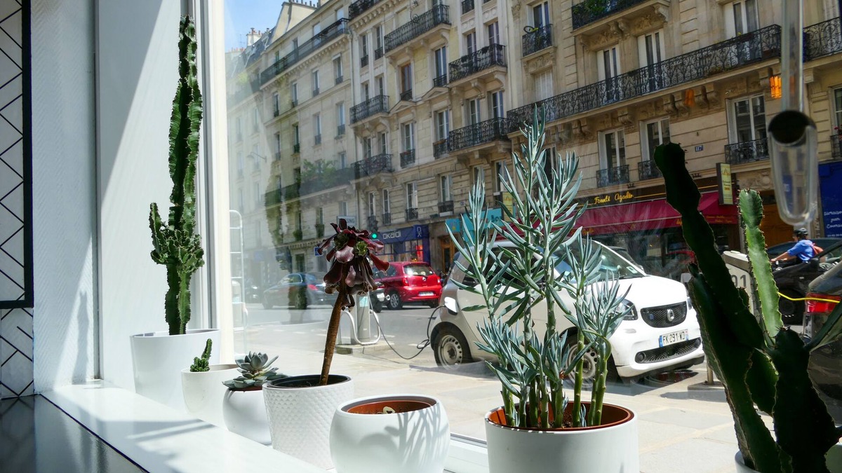 Jardin des plantes Hotel | Hotel de France Quartier Latin