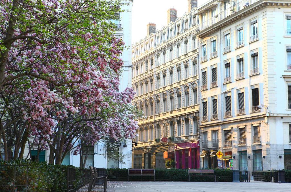 Bellecour - Hotel Dieu Hotel | Hotel des Celestins