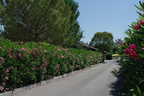 Pegomas Hotel | Hotel du Bosquet