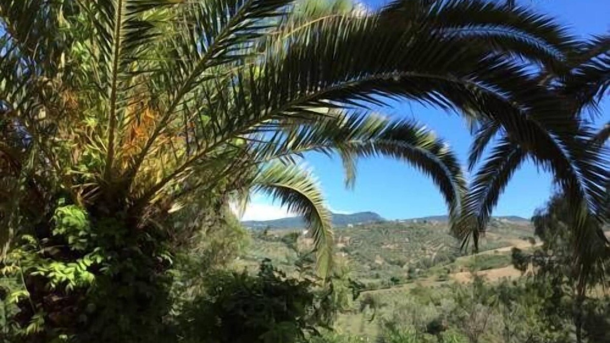 Castellabate Hotel | Hotel Eden