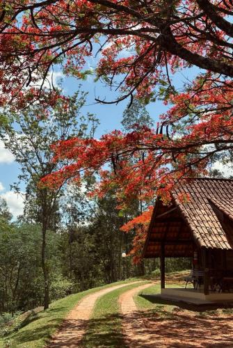 Ouro Fino House | Hotel Fazenda Menino da Porteira