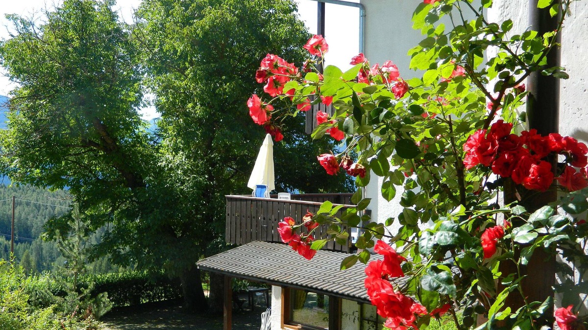 Daiano Hotel | Hotel Ganzaie