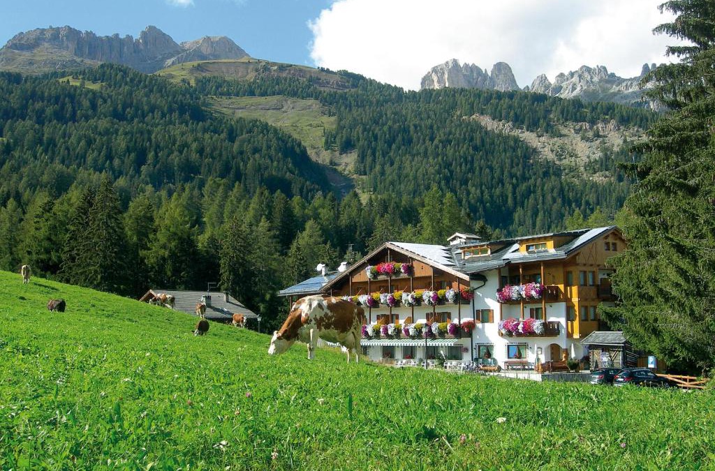 Vigo di Fassa Hotel | Hotel Gran Mugon