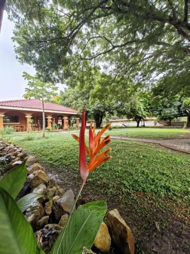 Cuajiniquil Hotel | Hotel Hacienda Casa del Viento