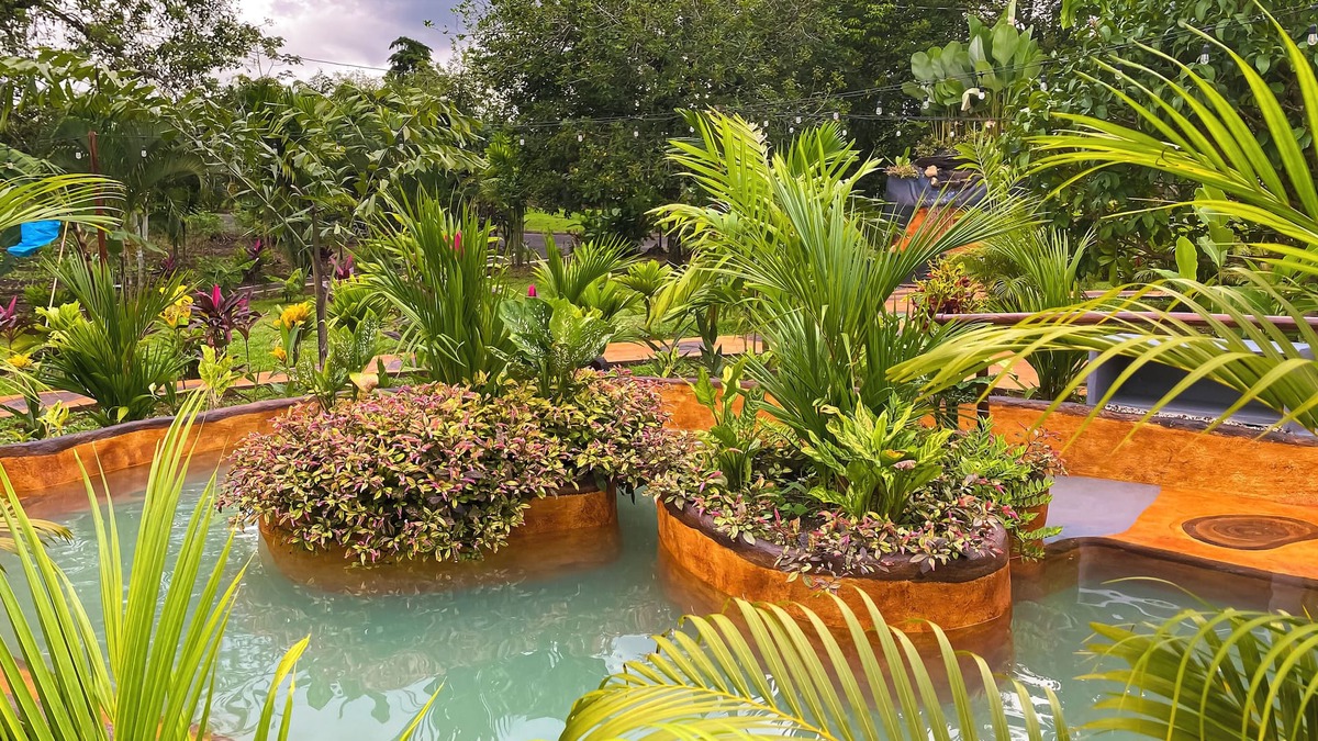 Penas Blancas Hotel | Hotel Heliconias Nature Inn & Hot Springs