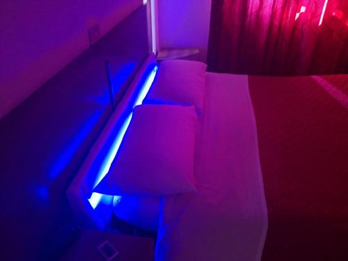 Livorno Hotel | Hotel Houston Livorno - Struttura Esclusivamente Turistica - Not for Business or Workers