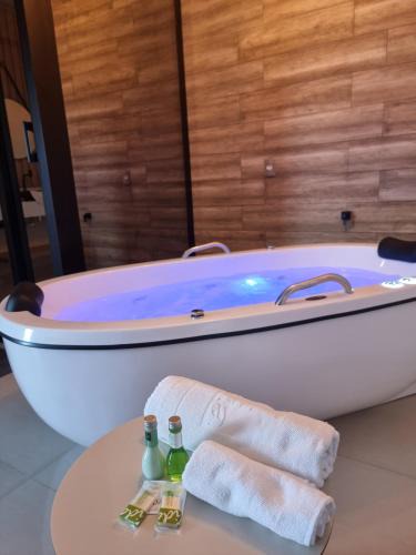 Tangara da Serra Hotel | Hotel Itatiaia