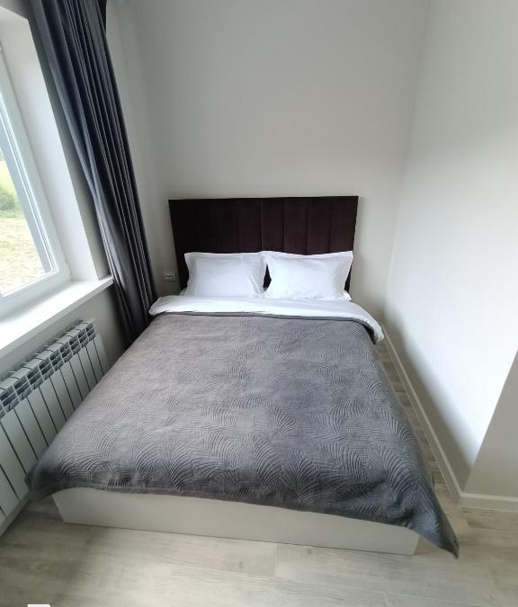 Almaty Province Hotel | Hotel Kolsay Eki Agayindy